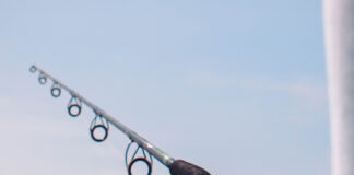 Reprodução Unsplash