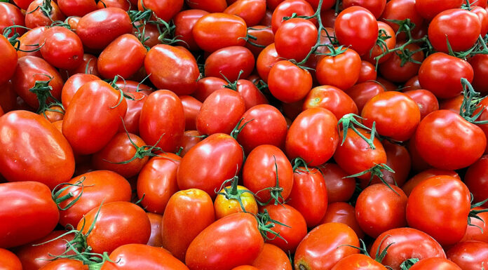 Conab mostra efeito das condições climáticas na oferta de frutas e hortaliças no país Reprodução Unsplash