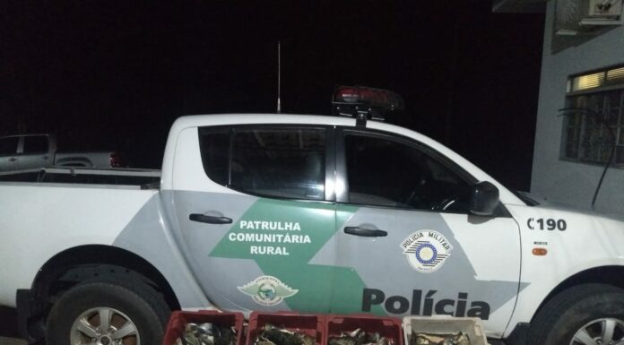 Polícia Ambiental divulga balanço da piracema Cedida Polícia Ambiental