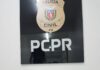 Cedida Polícia Civil