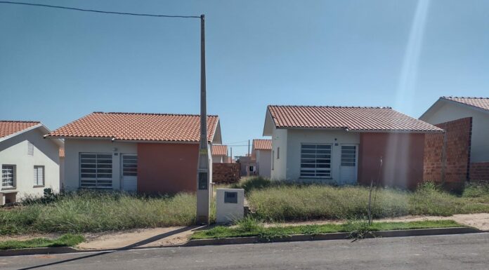 Moradores reclamam de mato alto em área verde no Conjunto Habitacional Florindo Tabachi L. Pinheiro/JR