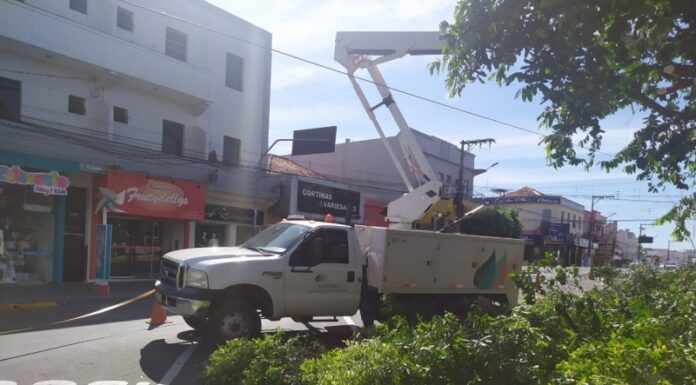 Por medida de segurança, Elektro poda árvores na Praça Arthur Pagnozzi Cedida Prefeitura