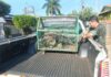 Cedida Polícia Ambiental
