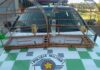 Cedida Polícia Ambiental