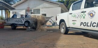 Cedida Polícia Ambiental