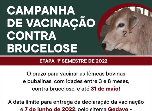 Cedida Prefeitura