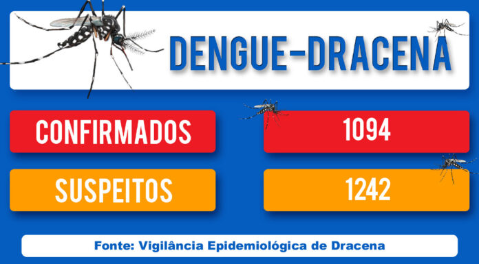 DENGUE-DRACENA Arquivo/JR