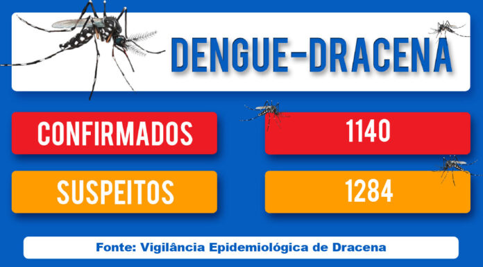 DENGUE-DRACENA
