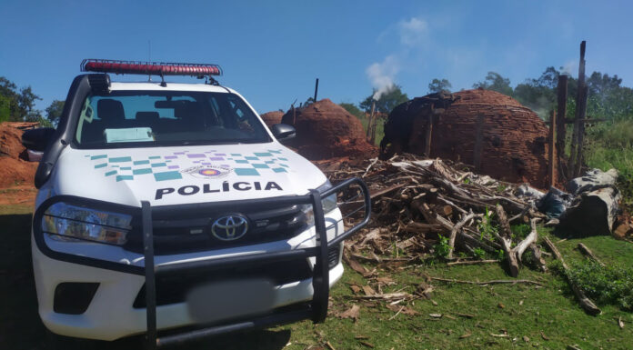 Polícia Ambiental apreende 315 kg de carvão em Santo Anastácio Cedida Polícia Ambiental