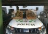 Cedida Polícia Ambiental
