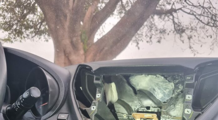 Em ação da Força Tática cão farejador localiza cocaína e crack no painel de veículo, três pessoas da mesma família são presas Cedida Jorge Zanoni