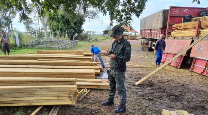 Cedida Polícia Ambiental