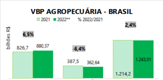 Reprodução Site