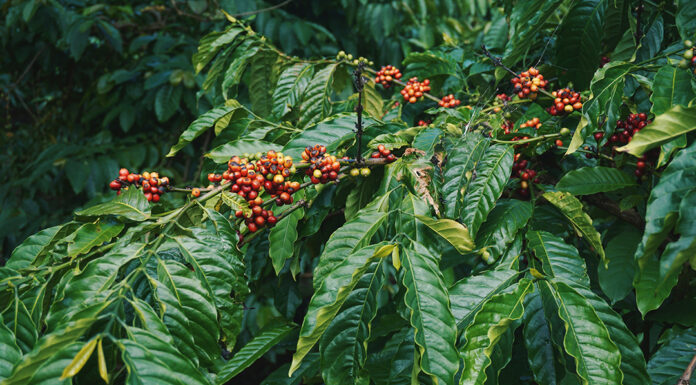 Reprodução Unsplash