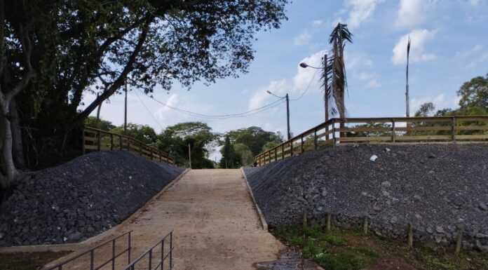 Cedida Polícia Ambiental
