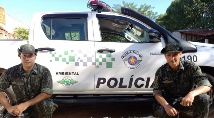 Polícia Ambiental autua homens em R$ 4,7 mil por transporte de pescado irregular em Dracena Cedida Polícia Ambiental