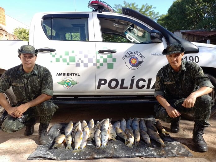 Cedida Polícia Ambiental