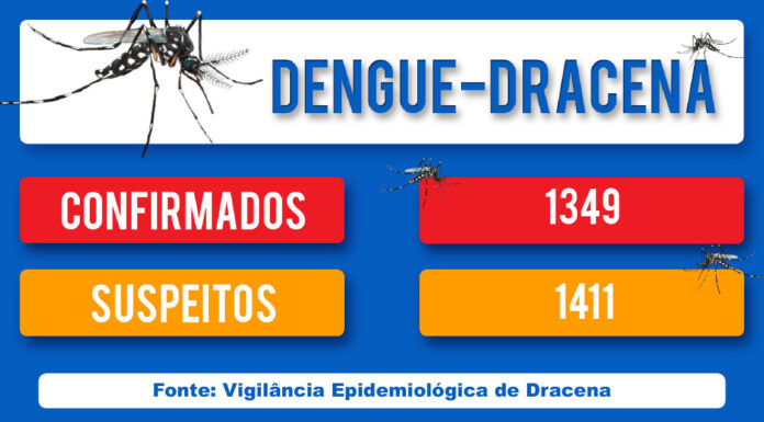 DENGUE-DRACENA