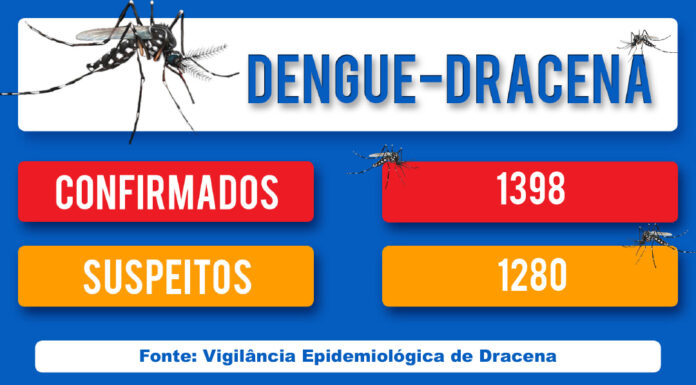 DENGUE-DRACENA