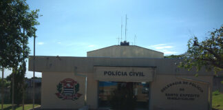 Cedida Polícia Civil