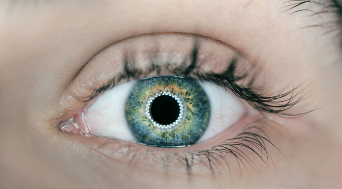 Glaucoma pode atingir homens jovens por liberação de pigmentos da íris Cedida Unsplash