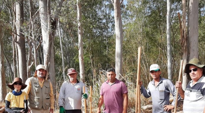 Pesquisa arqueológica é desenvolvida no aterro sanitário em Dracena Cedida Prefeitura