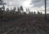 Cedida Polícia Ambiental