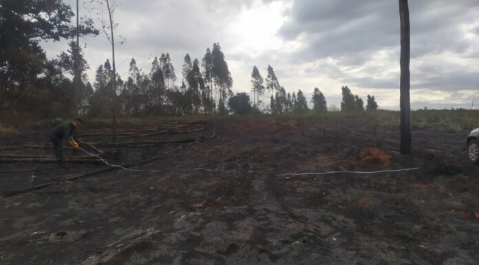 Polícia Ambiental constata fogo em árvores e vegetação e autua fazenda de Marabá Paulista em quase R$ 252 mil Cedida Polícia Ambiental