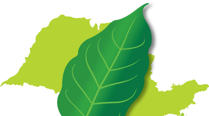 COMPROMISSO COM A SUSTENTABILIDADE
