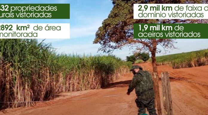 Cedida Assessoria