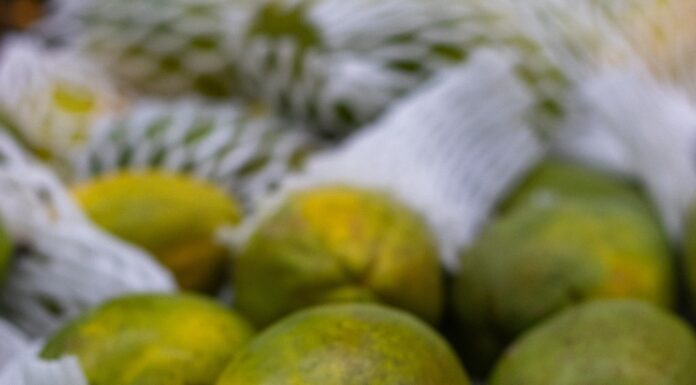 Reprodução Unsplash