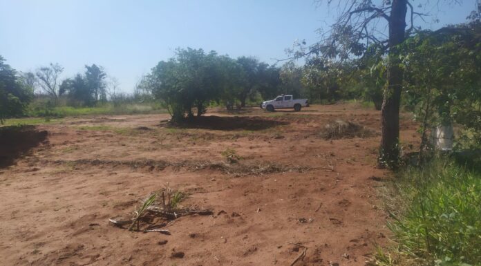 Cedida Polícia Ambiental