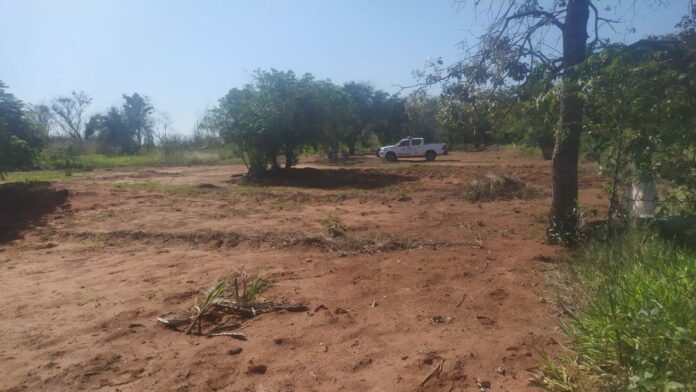 Cedida Polícia Ambiental