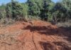 Cedida Polícia Ambiental