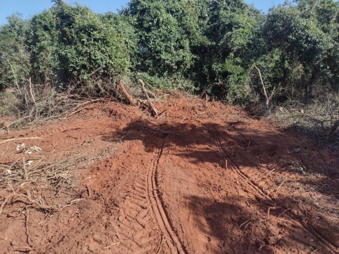 Cedida Polícia Ambiental