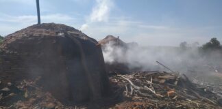 Cedida Polícia Ambiental