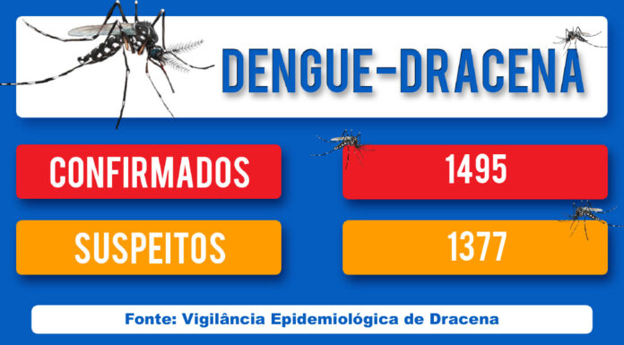 DENGUE – DRACENA