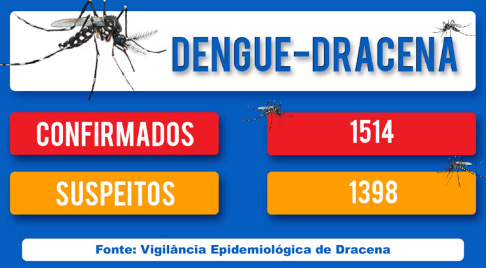 DENGUE-DRACENA