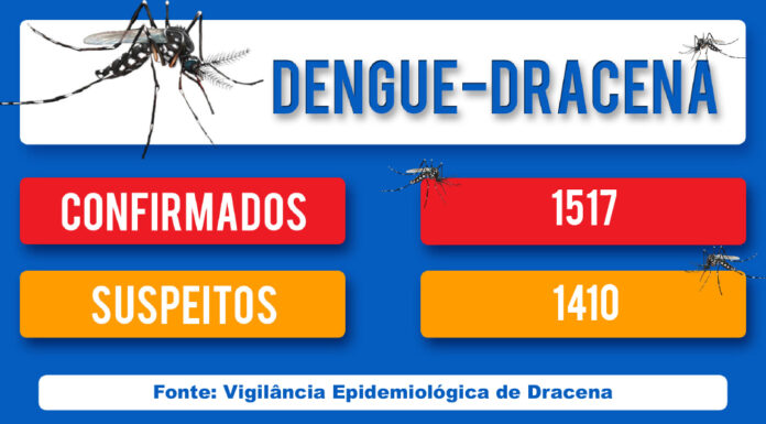 DENGUE-DRACENA