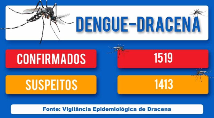 DENGUE-DRACENA