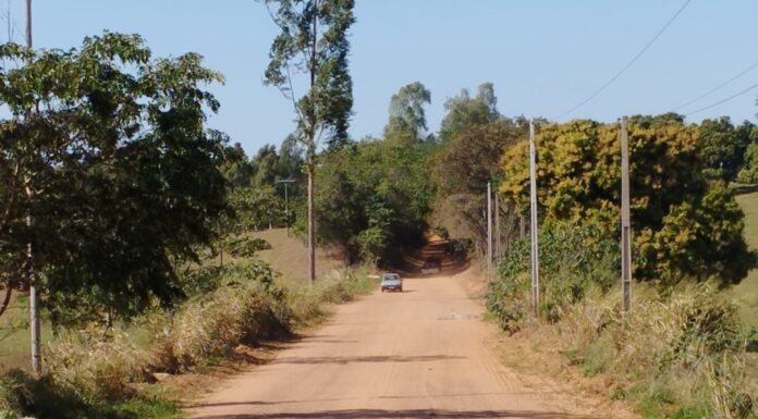 Cedida Assessoria