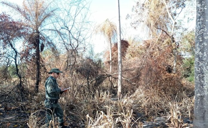 Cedida Polícia Ambiental