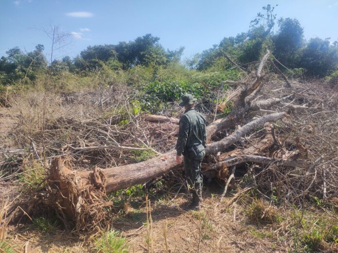 Cedida Polícia Ambiental