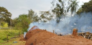 Cedida Polícia Ambiental