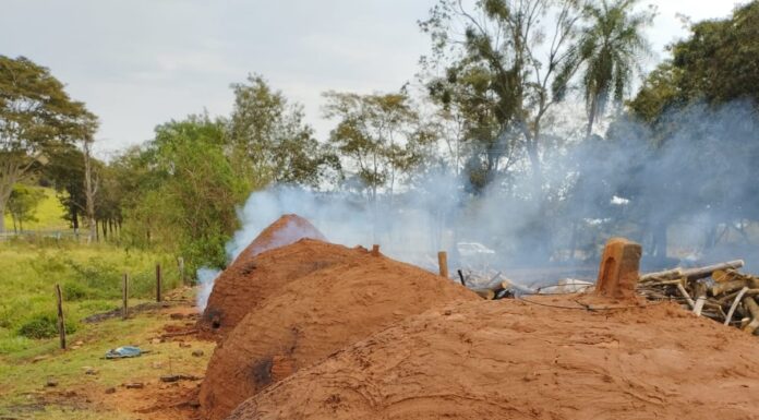 Homem descumpre embargo e é autuado em R$ 10 mil por produção de carvão Cedida Polícia Ambiental