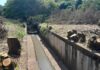 Cedida Polícia Ambiental