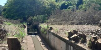 Cedida Polícia Ambiental