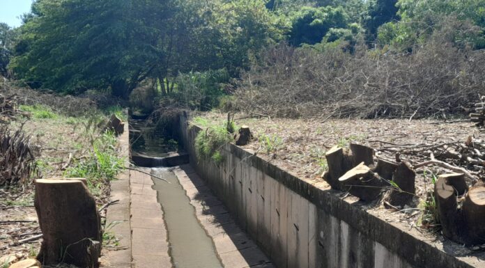 Cedida Polícia Ambiental