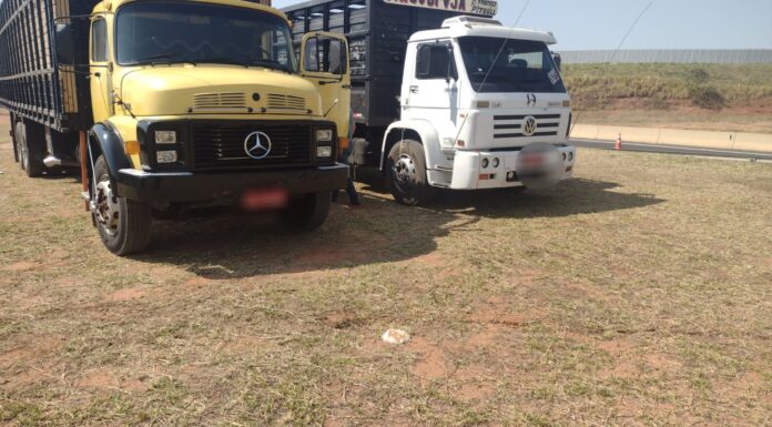 Ação conjunta entre a Polícia Civil e a Polícia Militar na cidade de Martinópolis prendem em flagrante dois homens pela prática de roubo de gado tentado Cedida Polícia Civil