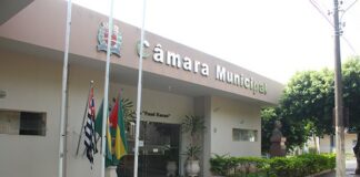 Cedida Assessoria
